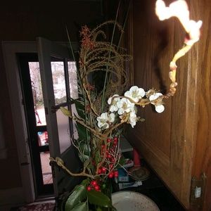 Meet your Posher, Titus